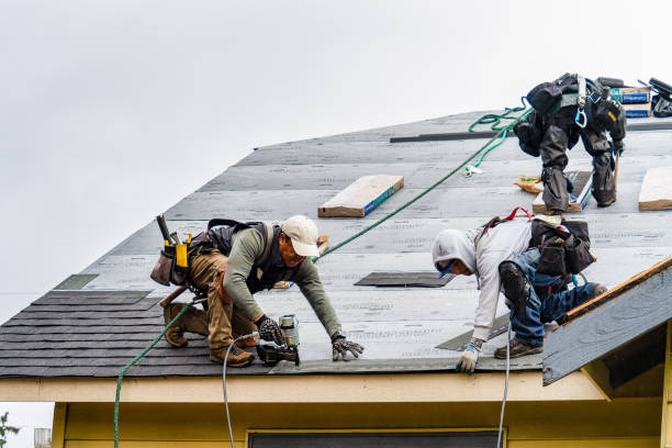 Professional Roofing technician working in Elmwood, IL
